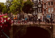 Uncover the Secrets of a Fairy Village in the Netherlands