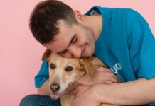 Reporter Visits Shelter, Ends Up Adopting Dog After Sweet Hug