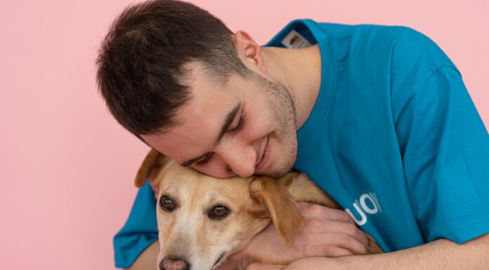 Reporter Visits Shelter, Ends Up Adopting Dog After Sweet Hug