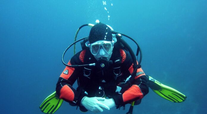7-Meter Anaconda Surprises Scuba Diver in the Deep Blue