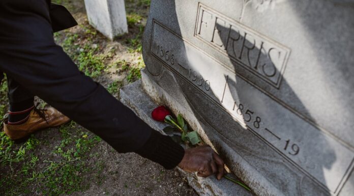 Now You Can Rest With Your Pet Forever