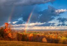 Fire Rainbows: A Jaw-Dropping Natural Wonder
