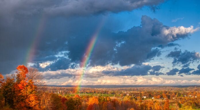 Fire Rainbows: A Jaw-Dropping Natural Wonder