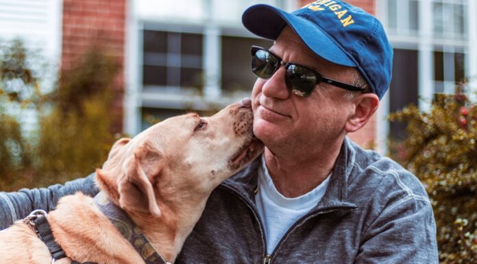 Why Dogs Are Truly Better Than Humans