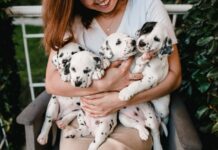 9 Fluffy Puppies and the Woman Who Loves Them