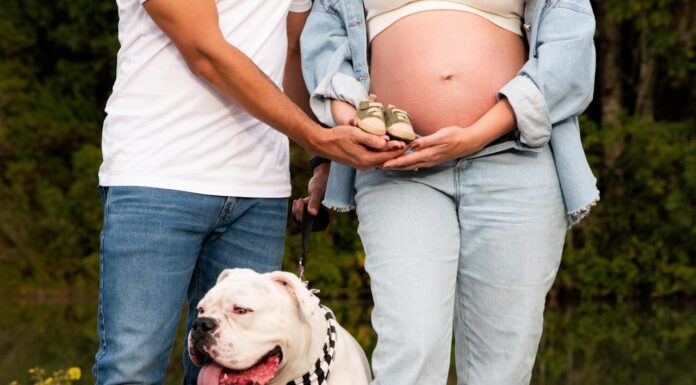 Dog Is Left Behind When Family Prepares for Baby
