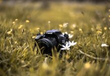 11 Photos That Show Why Nature’s Beauty Is Like No Other