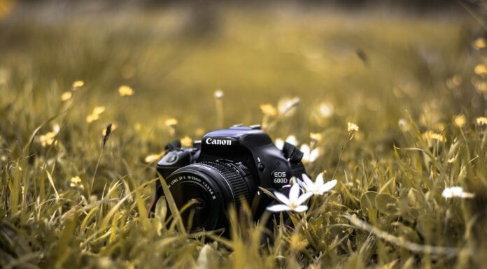 11 Photos That Show Why Nature’s Beauty Is Like No Other