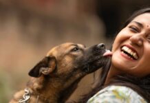 Meet the Stray Dog Who Landed a Job at Hyundai