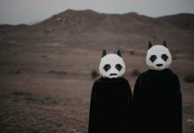 Is It a Kitten or a Panda? Meet Marie, the Cutest Mystery!