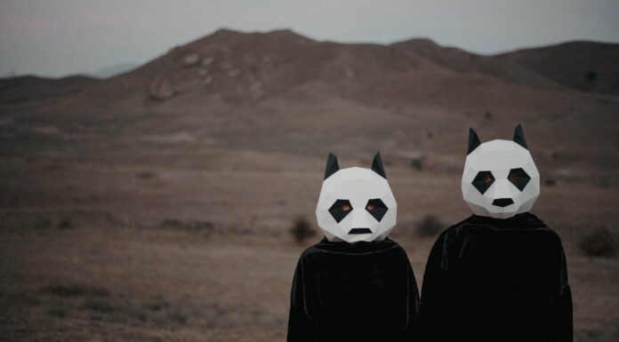 Is It a Kitten or a Panda? Meet Marie, the Cutest Mystery!