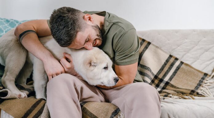 Man’s Best Friend? These Dogs Take It to a New Level