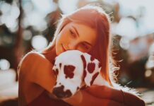 Ever Seen a Dalmatian With a Heart on His Nose? Meet Wiley!