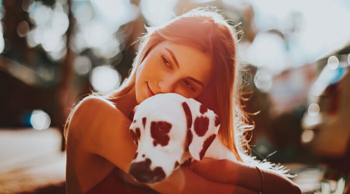 Ever Seen a Dalmatian With a Heart on His Nose? Meet Wiley!