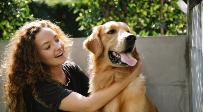 Have You Ever Seen a Dog with a Unicorn Ear? Now You Have!