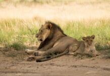 Why “Alone Time” Is a Myth Every Parent Can Relate To