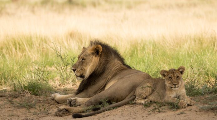 Why “Alone Time” Is a Myth Every Parent Can Relate To