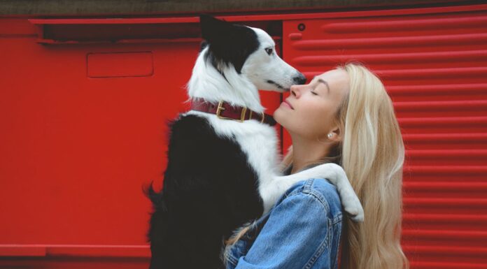 Reporter Realizes She’s Reporting on a Stolen Dog Right in Front of Her