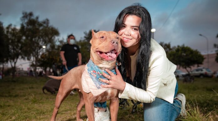 This Stray Pit Bull Adopted an Orphaned Puppy After Tragedy Struck