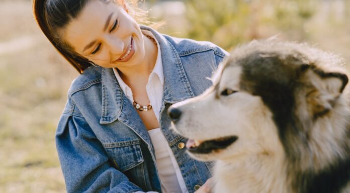 What Happens When a Husky Runs Out to Meet His Best Friend?