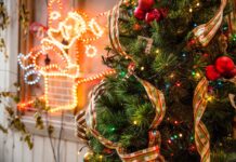 What If Your Christmas Tree Could Celebrate Every Season?