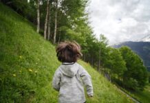 When a Boy Walked into the Woods, He Came Back with an Unforgettable Gift