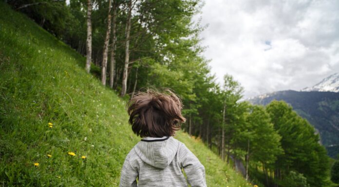When a Boy Walked into the Woods, He Came Back with an Unforgettable Gift