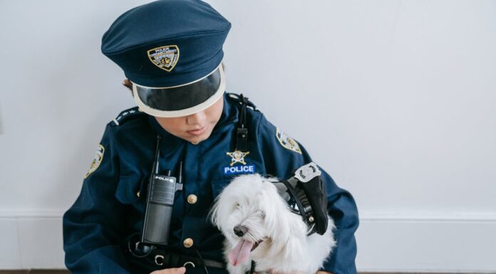 A Dog in Pain, a Hero in Uniform: A Heartwarming Moment You Won’t Forget