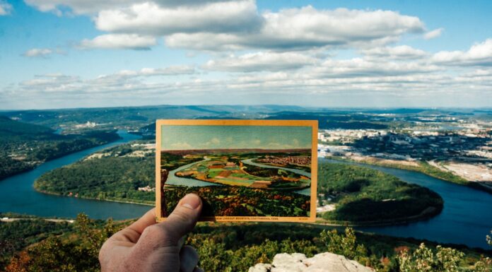 8 Photos Captured at Just the Right Moment—You’ll Have to Look Again