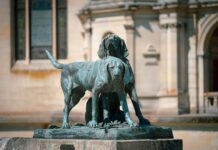 A Century Later, This Dog’s Monument Keeps Receiving Sticks