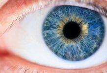 11 Mind-Bending Photos That Will Change How You See the World