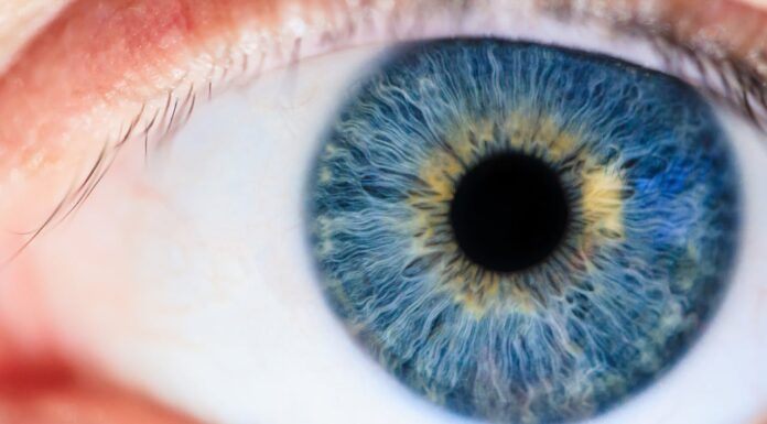 11 Mind-Bending Photos That Will Change How You See the World