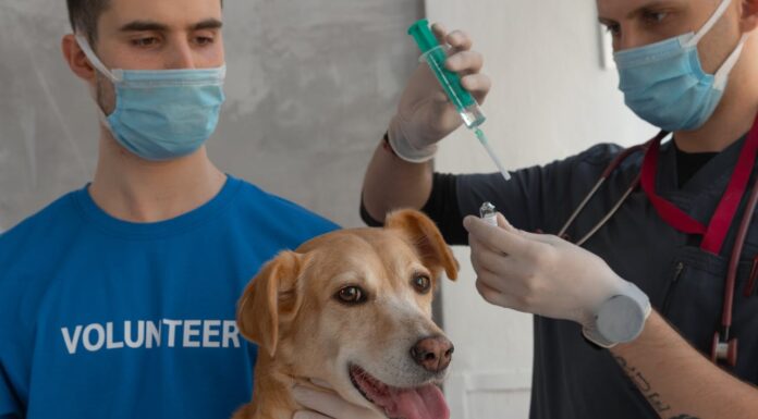 11 Hilarious Photos From a Vet Clinic That’ll Brighten Your Day