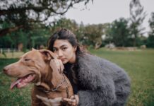 How a Delivery Route Led to a Forever Home for a Pit Bull