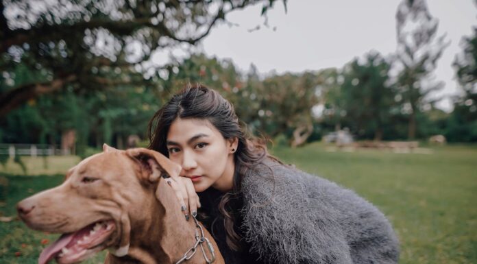 How a Delivery Route Led to a Forever Home for a Pit Bull