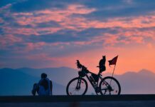 Stray Cat Becomes Cyclist’s Travel Buddy on Epic World Tour