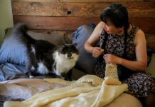 Cat Owners Can’t Stop Making Tiny Crochet Couches—Here’s Why