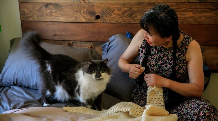 Cat Owners Can’t Stop Making Tiny Crochet Couches—Here’s Why
