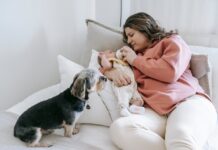 Crying Baby? This Dog Has the Perfect Toy to Help Calm Him Down