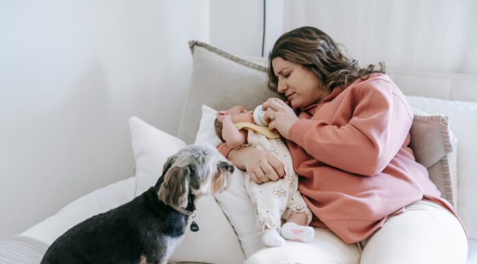 Crying Baby? This Dog Has the Perfect Toy to Help Calm Him Down