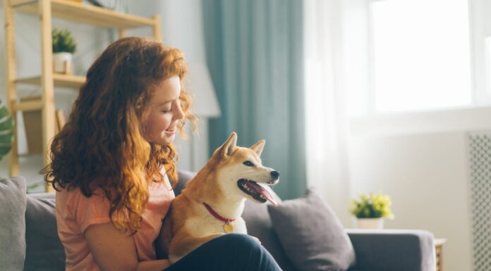 2 Years Apart: Mom Finally Finds Her Stolen Dog
