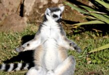 11 Photos That Will Give Your Brain a Workout