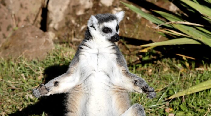 11 Photos That Will Give Your Brain a Workout