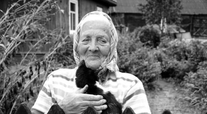 Grandmother Follows Her Beloved Cat to the Other Side on the Same Day