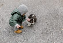Stray Cat Steps In to Save a Baby Left in the Cold