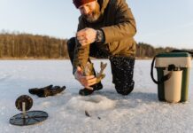 Hungry? Sometimes You’ve Just Got to Ask for a Snack!