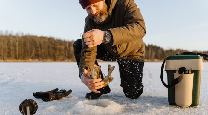 Hungry? Sometimes You’ve Just Got to Ask for a Snack!