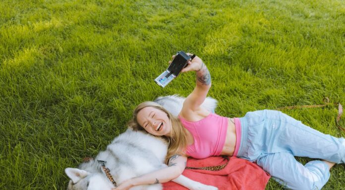 After 2 Years Apart, Woman Finally Reunites with Her Missing Husky