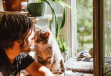 From Cat-Free to Cat Dad: How This Guy Ended Up with 5 Furry Friends