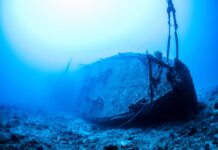 Why the Titanic Wreck is Missing Skeletons (But Not Shoes)